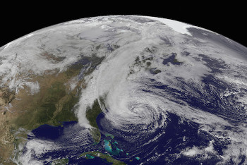 sandy goes